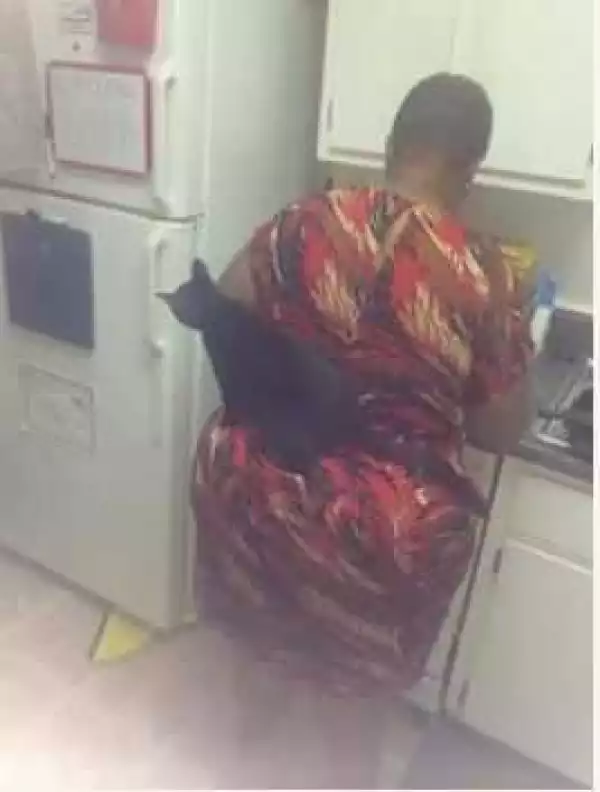 Ikebe Super: See a Funny Photo of a Curvy Woman and Her Pet Cat Cooking